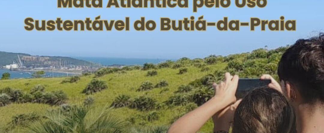 Porto de Imbituba e Projeto Costa Butiá promovem workshop sobre conservação da Mata Atlântica com foco no uso sustentável do Butiá-da-Praia