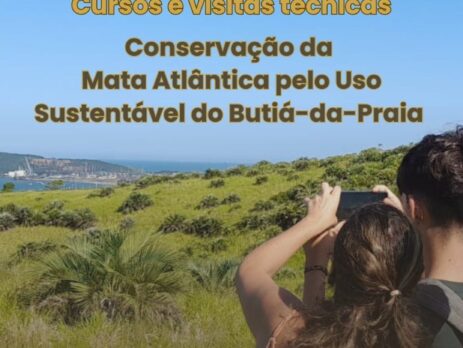 Porto de Imbituba e Projeto Costa Butiá promovem workshop sobre conservação da Mata Atlântica com foco no uso sustentável do Butiá-da-Praia